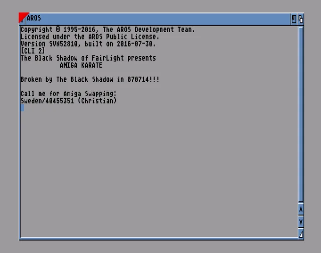 Amiga Karate v1.0 (1987)(Eidersoft)[cr FLT]
