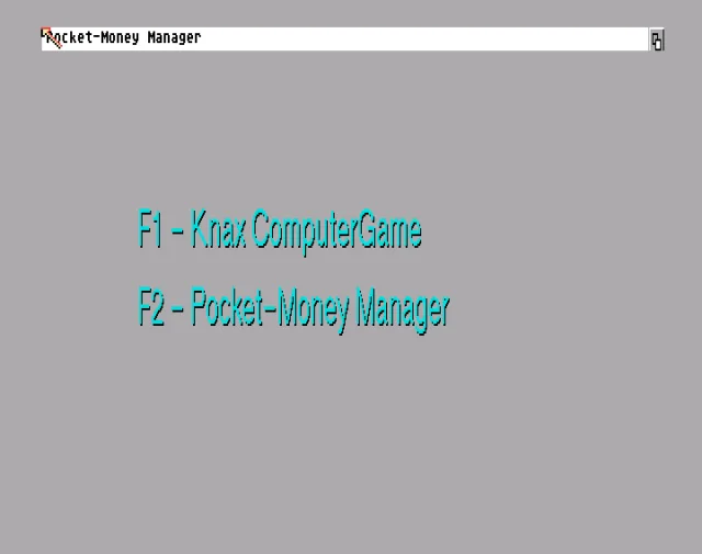 Knax Computerspiel, Das