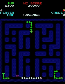 Savvana