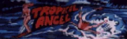 Tropical Angel