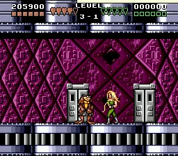 Battletoads & Double Dragon
