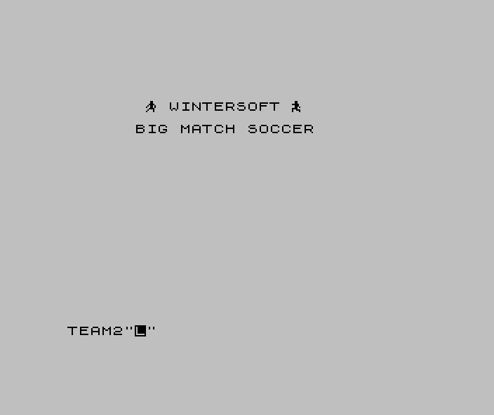 Big Match Soccer