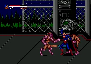 Death and Return of Superman, The