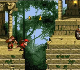 Donkey Kong Country