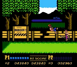 Double Dragon II