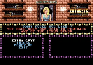 Double Dragon III: The Sacred Stones