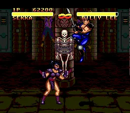 Double Dragon V: The Shadow Falls