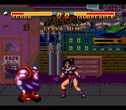 Double Dragon V: The Shadow Falls