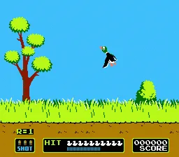 Duck Hunt
