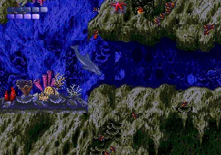 Ecco the Dolphin