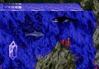 Ecco the Dolphin