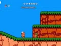 Hudson’s Adventure Island II