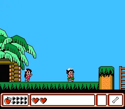 Hudson’s Adventure Island IV