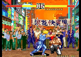 Karnov's Revenge - Fighter's History Dynamite
