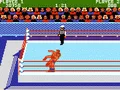 Mat Mania Challenge
