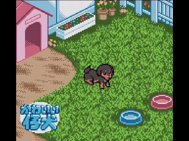 SHARE THIS GAME