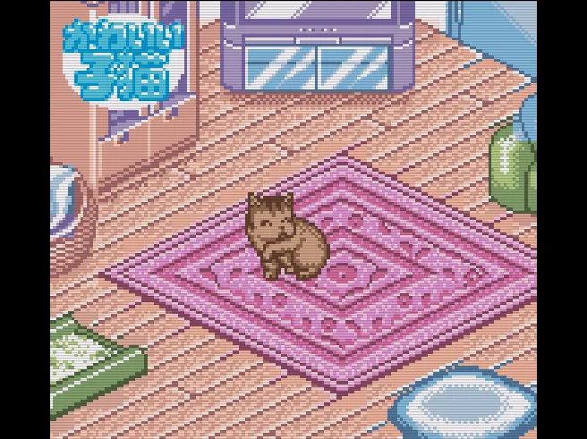 SHARE THIS GAME