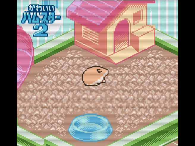 SHARE THIS GAME