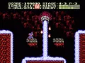 Ninja Gaiden II: The Dark Sword of Chaos