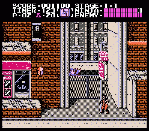 Ninja Gaiden (Shadow Warriors)
