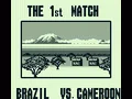 Nintendo World Cup