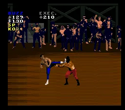 Pit-Fighter