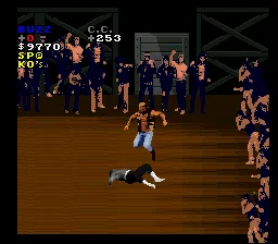 Pit-Fighter