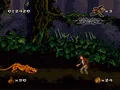 Pitfall: The Mayan Adventure