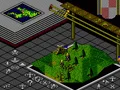 Populous