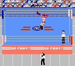 Pro Wrestling