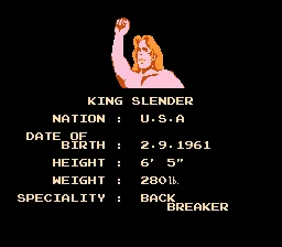 Pro Wrestling