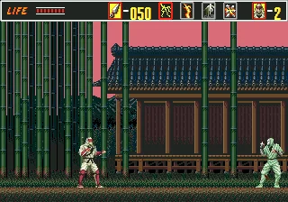 Revenge of Shinobi, The