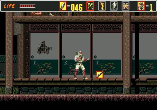 Revenge of Shinobi, The
