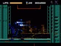 RoboCop Versus the Terminator