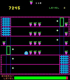 SHARE THIS GAME