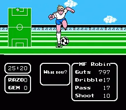 Tecmo Cup: Soccer Game