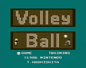 Volleyball